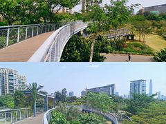 -香蜜公园