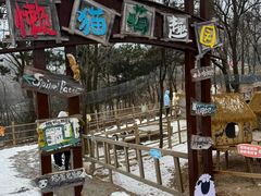 -沂蒙山旅游区云蒙景区(蒙山国家森林公园)