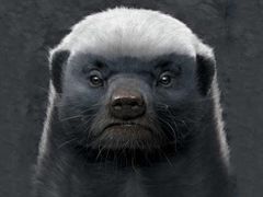 -鹿港小镇(金虹桥国际中心店)