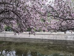 -海棠花溪(元大都城垣遗址公园)