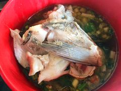 花鲢鱼头-花鲢鱼头火锅(春城东路店)