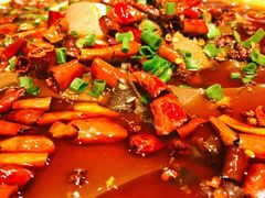 -院8里·少城记忆老川菜(宽窄巷子店)