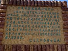 -金龙寺国家森林公园