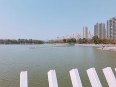 -南翔镇银翔湖公园