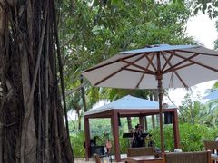 -三亚艾迪逊酒店·海滩烧烤 BARBACOA·现场乐队·浪漫晚餐·烧烤海鲜