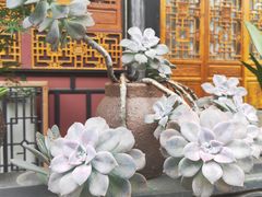-古大圣慈寺