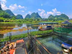 -靖西鹅泉风景区