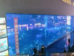 -成都浩海立方海洋公园