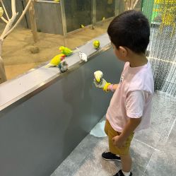 -神奇动物撸宠馆·羊驼·小浣熊·异宠(豫园店)