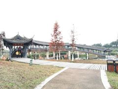 -眉山湿地公园(东坡区)