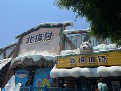 -海合安成都极地海洋公园