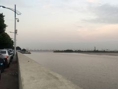 -大湾区中央湿地公园-十九涌