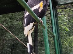 -哈尔滨北方森林动物园