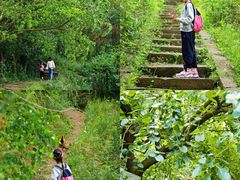 -金堂县云顶石城风景区