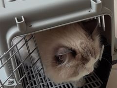 -美联众合24小时·皮肤科·外科·全科诊疗中心(华苑分院)