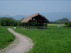 -良渚古城遗址公园