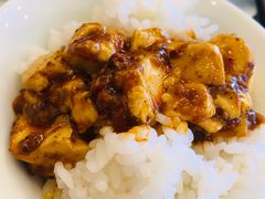 -陈麻婆豆腐总店