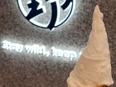 -野人先生Gelato(上海长宁龙之梦店)