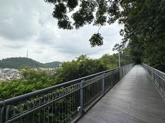 -佛山华盖山公园