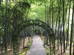 -杭州黄龙洞