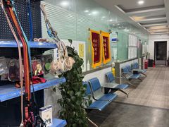 -暖阳宠物医院·犬猫康复中心·骨科