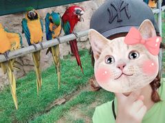 -西霞口神雕山野生动物世界