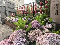 -新竹里馆·花园餐厅(兴苑路店)