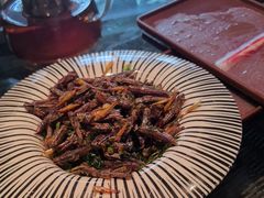 -慢丽江·云南野生菌土鸡锅(西山店)