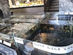 -大灶头·新昌菜(中国茶市店)