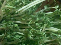 -捞王猪肚鸡火锅(昆山店)