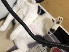 -上海颛桥万达广场
