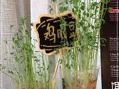 -饵块食光·云南有机手作饵块