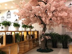 -汤里来温泉