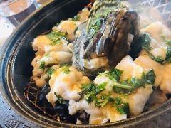 酸汤本港石斑鱼-林四喜·闽南传家菜(鼓浪屿店)