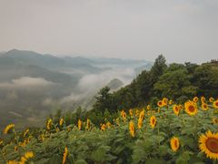 -石潭村