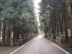 -武陵山森林公园