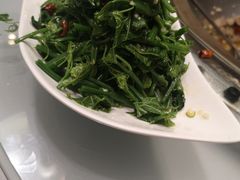 美味龙须菜-名羊天下陕北横山铁锅炖羊肉(博文路店)