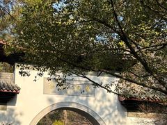 -杭州湖滨in77