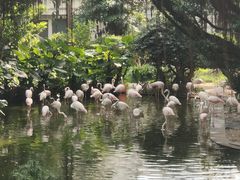 -九龙公园