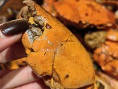 -七欣天香辣蟹火锅(上海安亭新源路店)