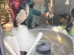 -北京动物园-畅观楼