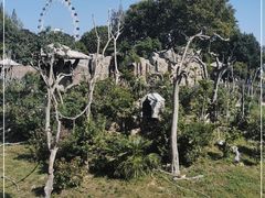 -上海野生动物园