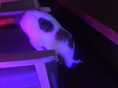 -蜉蝣酒吧(仓山万达店)