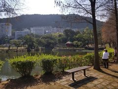 -大埔公路-马料水段香港中文大学(公交站)