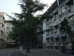 -北京积水潭医院-停车场