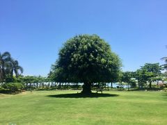 -海口万豪·大堂吧·望海吧.日落海景·下午茶·奶茶·咖啡·轻食·蛋糕·鸡尾酒·清吧