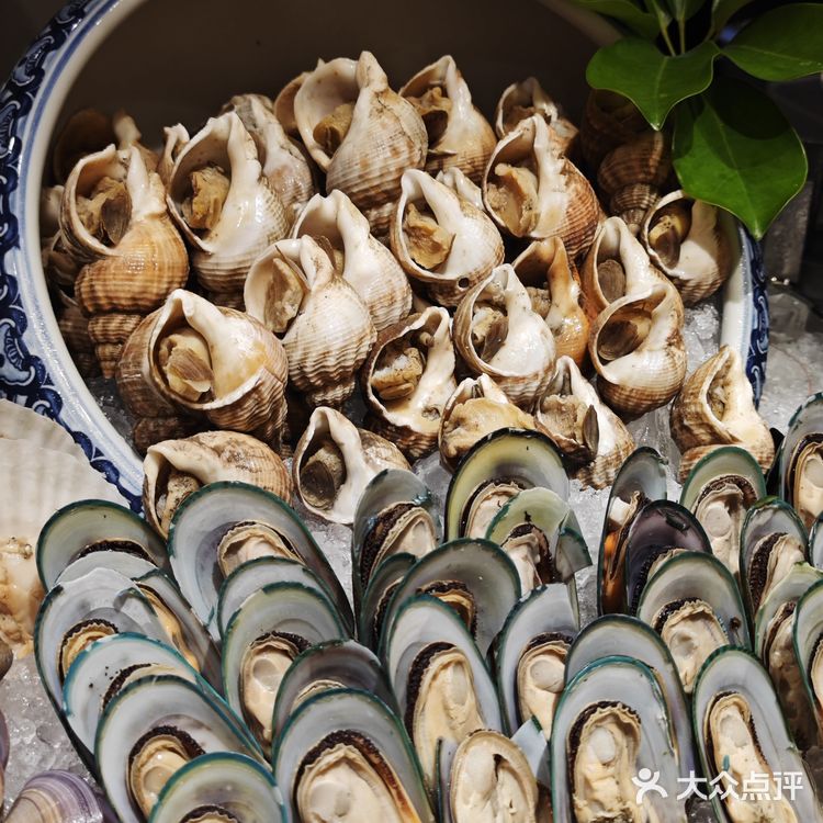 在顺德，周末要来吃的五星级自助餐！