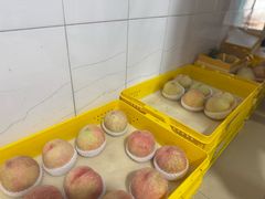 -老袁家蜜桃农场·阳山水蜜桃