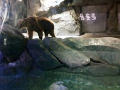 -临沂极地海洋王国