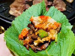 -韩园大片肉(齐市三中总店)